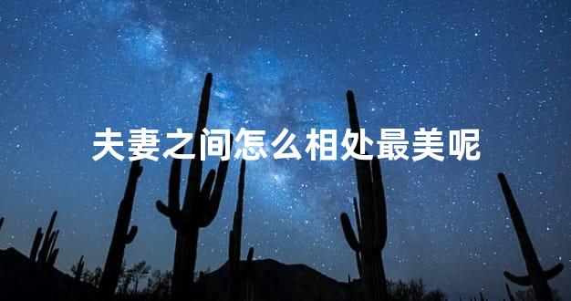 夫妻之间怎么相处最美呢