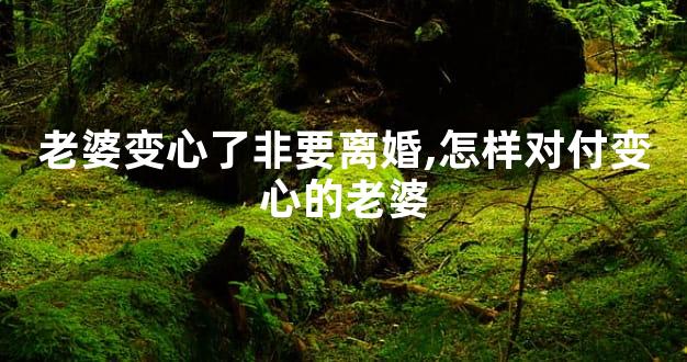 老婆变心了非要离婚,怎样对付变心的老婆